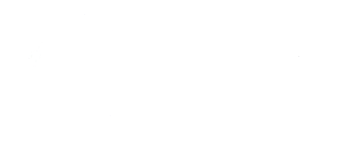 Shixov Sanatorium Footer Logo